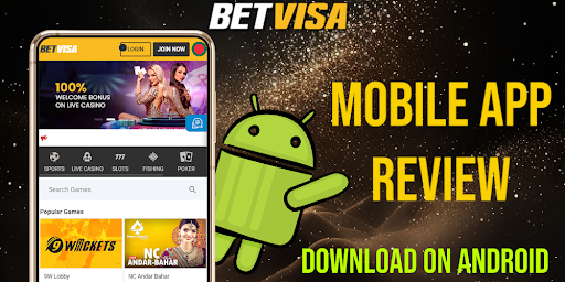 Simplify Your Betting Experience with the Betvisa