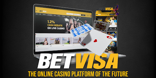 The Way to Safely win Money from Home with Pleasure - Betvisa platform